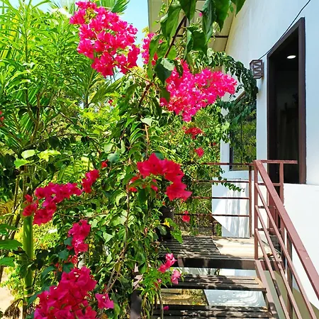 Alma Homestay Mararikulam Exterior photo