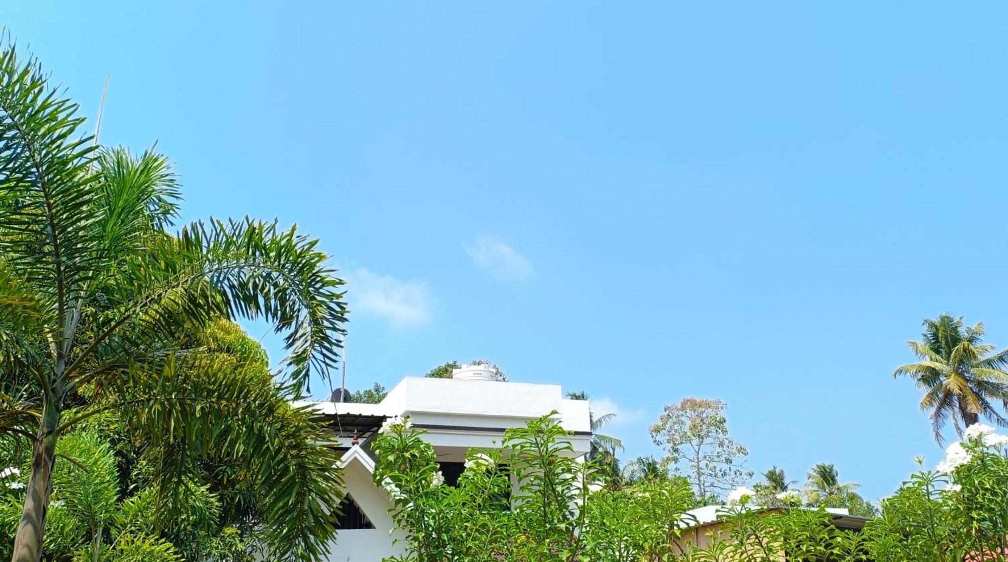 Alma Homestay *
