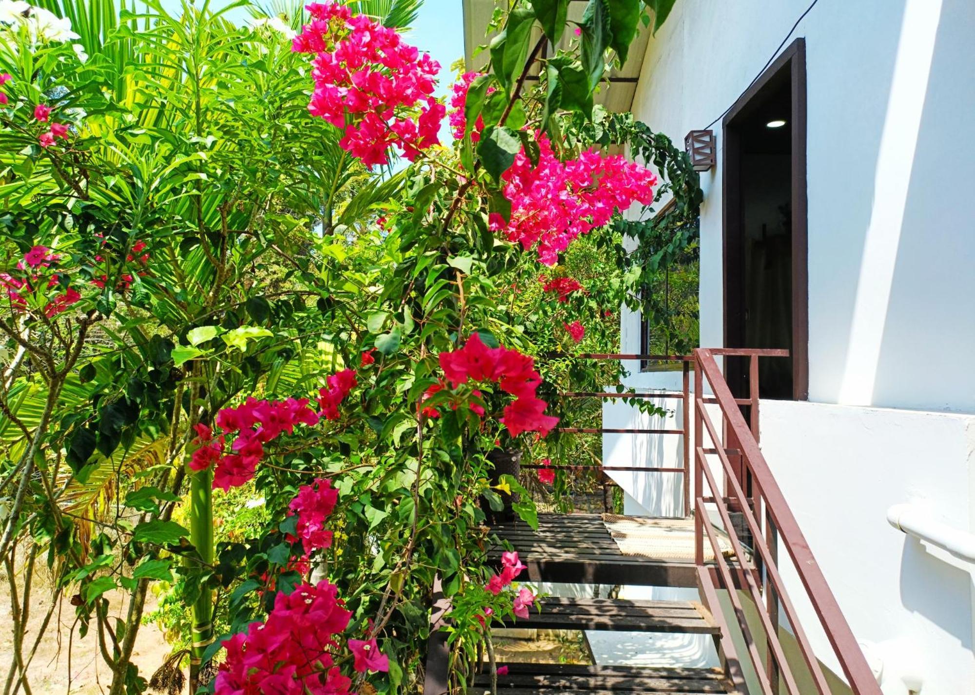Homestay Alma